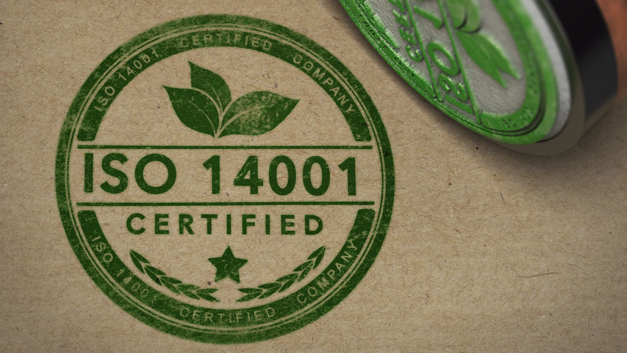 Nowe wydanie normy ISO 14001 2026 – co się zmienia i ile masz czasu